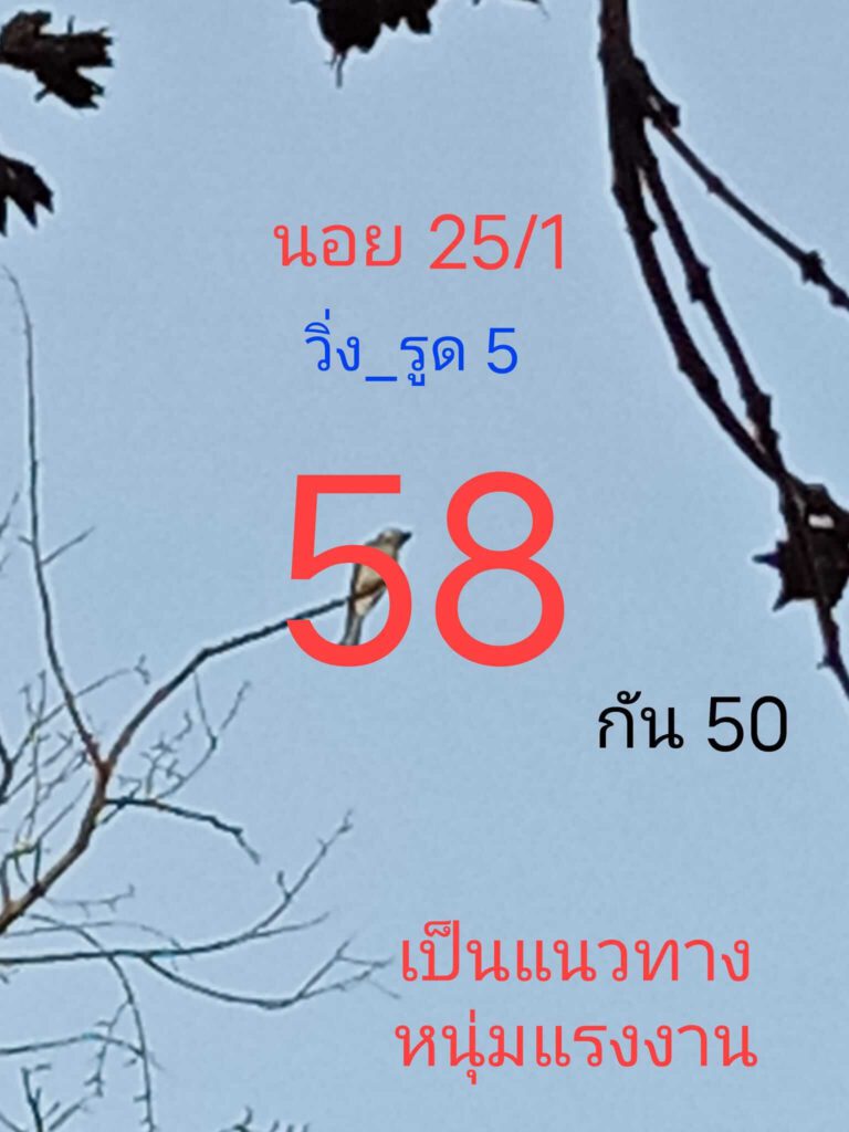  หวยเด็ดฮานอย