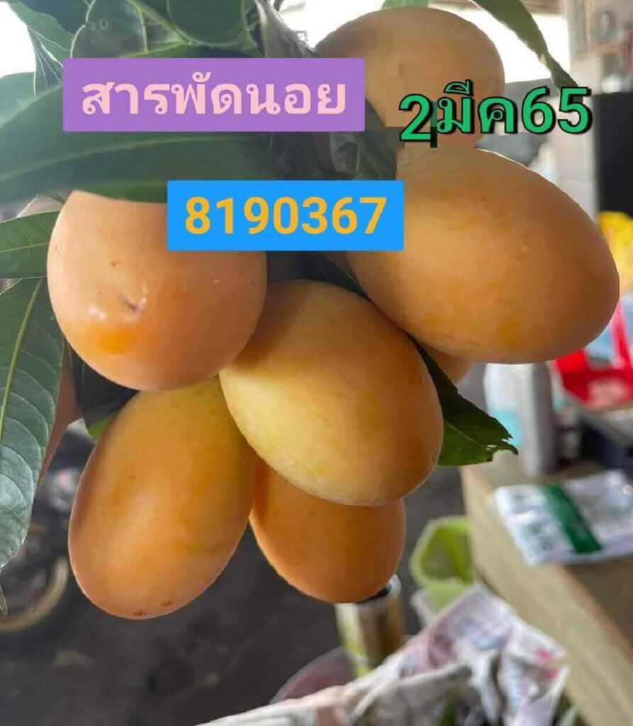 หวยเด็ดฮานอย