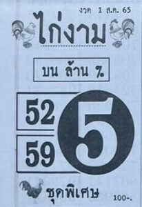 เลขเด็ด หวยไก่งาม1/8/65