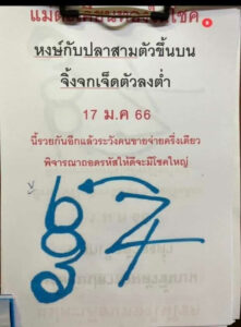 เลขเด็ดlottonew หวยกุมารทองให้โชค 17-1-66