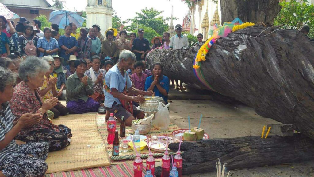 เลขเด็ดต้นตะเคียนทอง 16-3-66