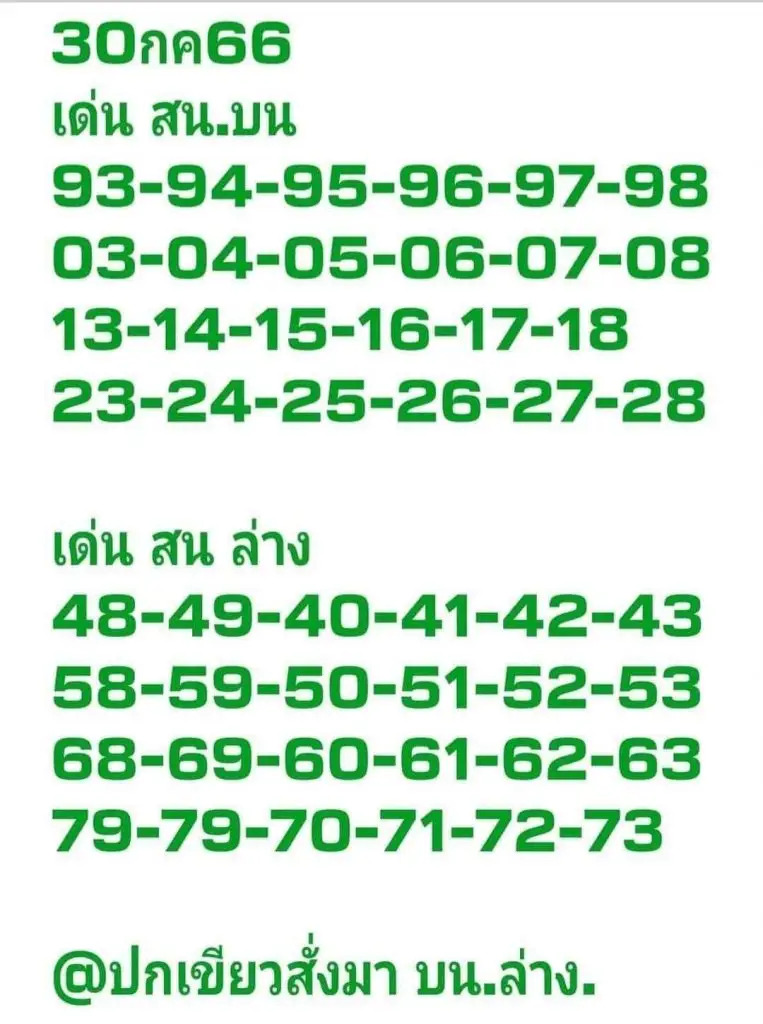 หวยใบเขียว 31-7-66