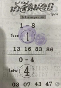 เลขม้าสีหมอกงวดนี้ 16-7-66