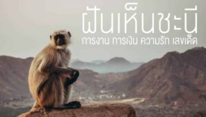 ฝันเห็นชะนี 2566
