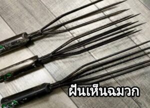 ฝันเห็นฉมวก 2566