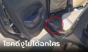 เลขทะเบียนงูเลื้อยเข้ารถ 1-11-66