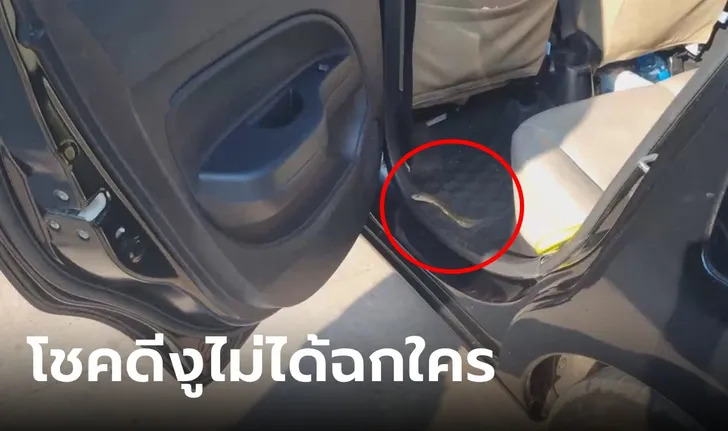เลขทะเบียนงูเลื้อยเข้ารถ 1-11-66