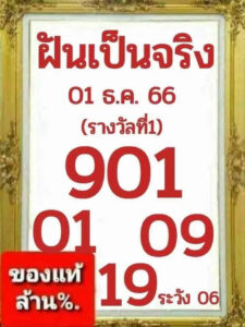 ฝันเป็นจริง 1-12-66