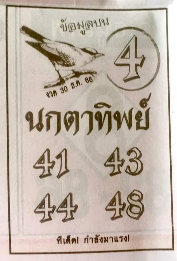 นกตาทิพย์ 30-12-66