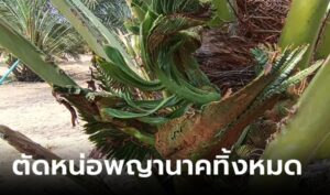 เลขพญานาค 16-2-67